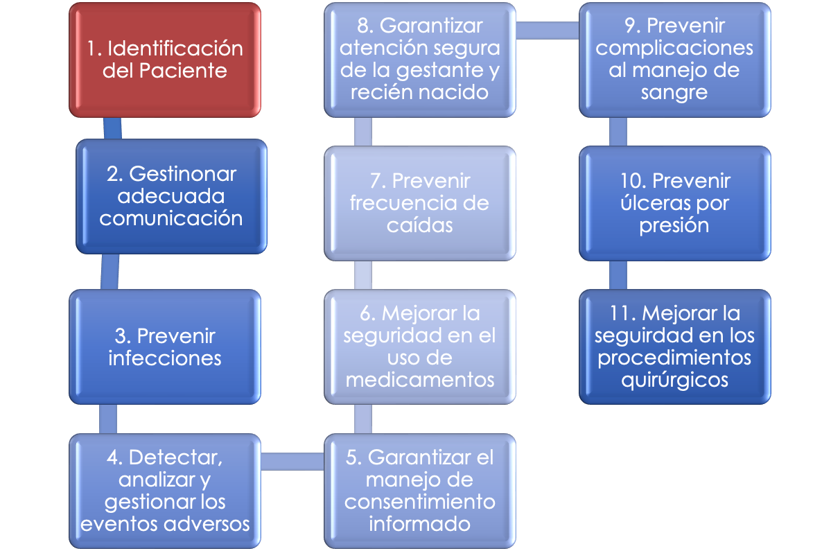 Seguridad del Paciente II